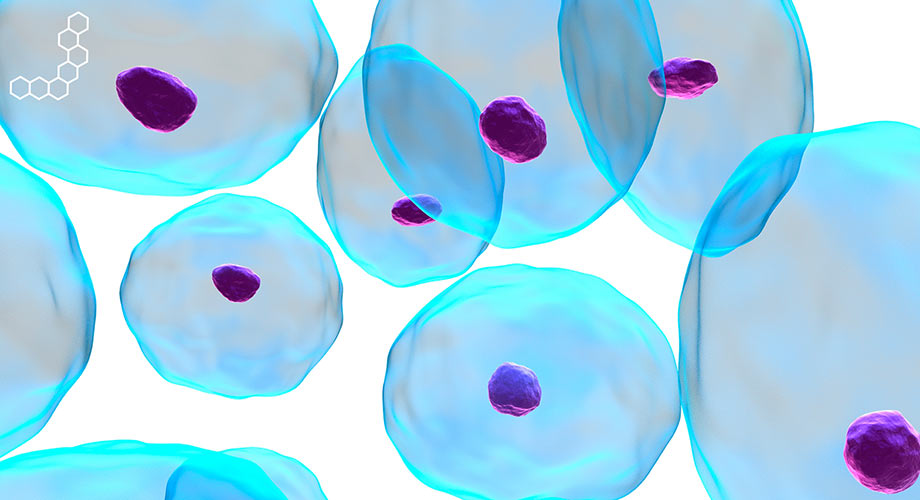 Biosafety
