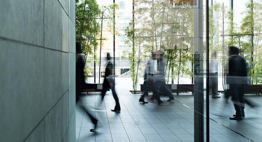 Office lobby view