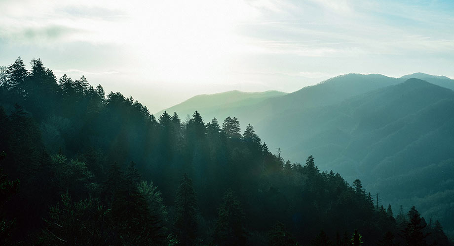 Landscape view